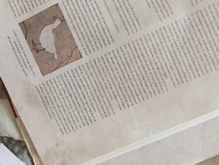 Rutas de España. El Camino de Santiago