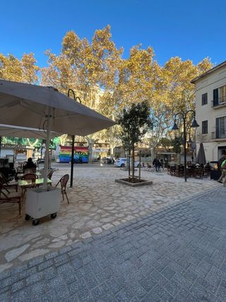 Traspaso en negocio en corazón de palma