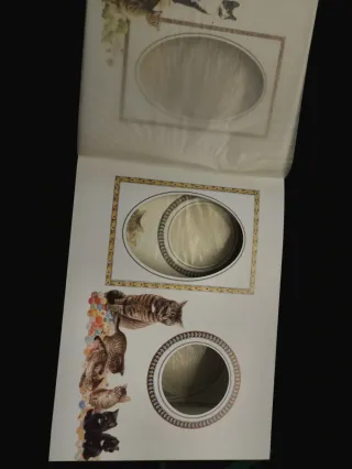 Album Foto Lesley Anne Ivory