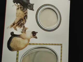 Album Foto Lesley Anne Ivory