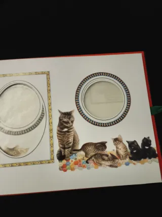 Album Foto Lesley Anne Ivory