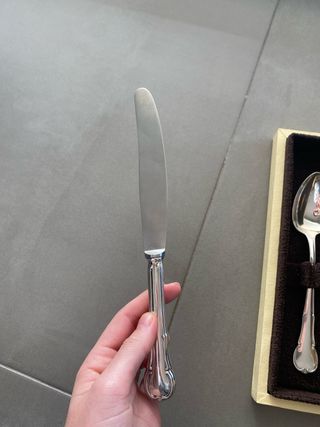 Cubiertos de acero inoxidable ACSA