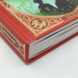 Harry Potter e la pietra filosofale. Ediz. pape...