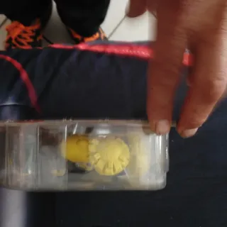 Gormiti Lord Sol Giocattolo