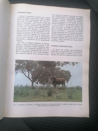 Libro Geografía del toro de lidia
