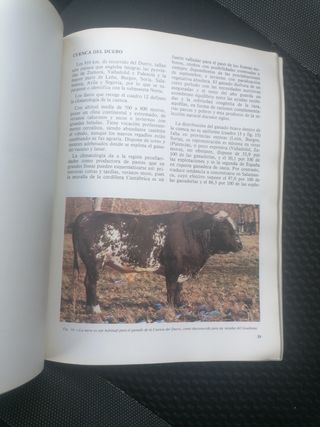 Libro Geografía del toro de lidia