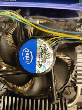 Placa Base Asus P8Z77 WS + 2 Memorias + Micro