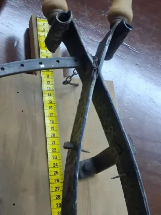 Taglia prosciutto crudo