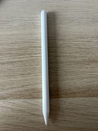 Lápiz Stylus para iPad