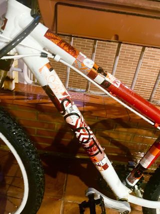 Bicicleta Scott Contessa 30 ideal jovenes y Adulto