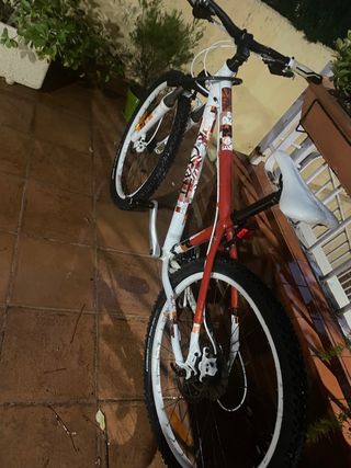 Bicicleta Scott Contessa 30 ideal jovenes y Adulto