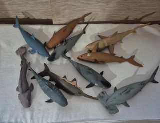 Set pesci giocattolo morbidissimo