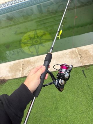 Caña y carrete de pesca spinning