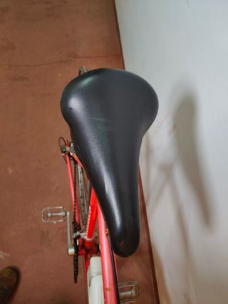 Bicicleta Torrot Marathon L Roja