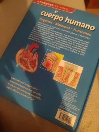 El cuerpo humano Órganos. Sistemas. Funciones.
