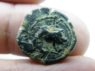 Moneda Ibera Jabalí Cástulo