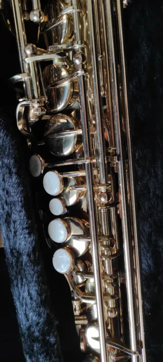 Saxofón Alto Sonora Dorado