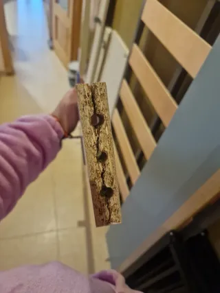 Cama nido juvenil con cajones