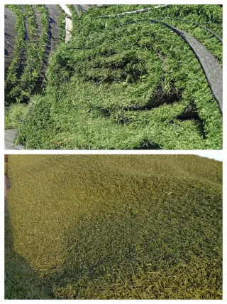 Venta de césped artificial