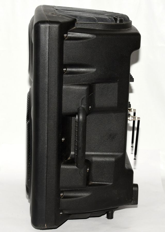 Altavoz Ibiza Sound Amplificado Negro