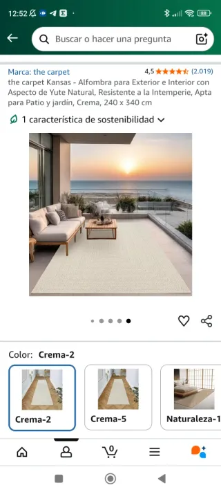 Alfombra 240x340 Crema Interior/Exterior