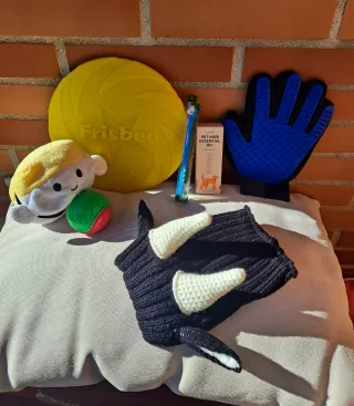 Lote articoli vari per animali/cani