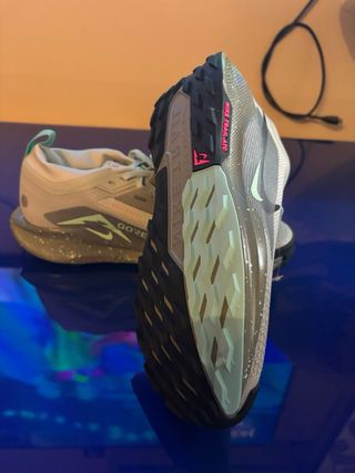 Nike Pegasus Trail 5 Gore-Tex