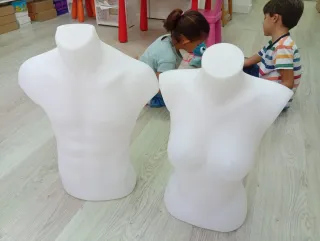 Maniquíes Torso Medio Cuerpo (2 Unidades)