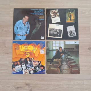 Lote de 24 vinilos