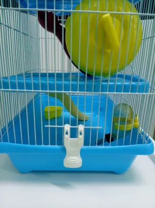 Jaula para hámster con accesorios