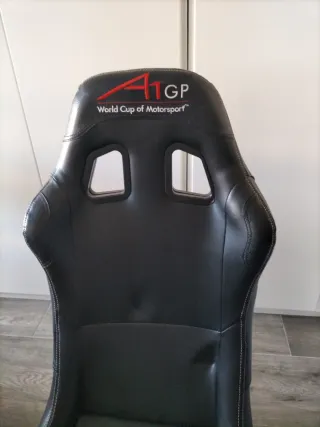 Silla gaming A1GP World Cup of Motorsport