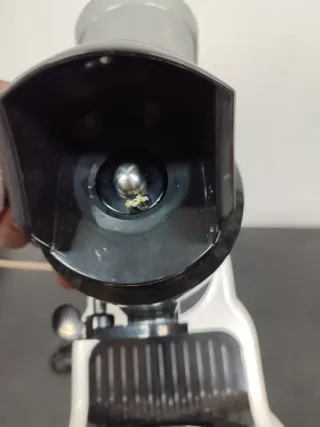 Extractor de Zumo Gomachef