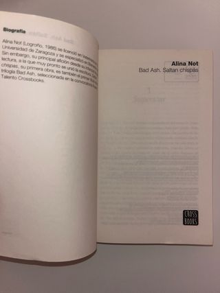 Bad Ash 1. Saltan chispas