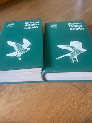 diccionari català-anglès i anglès-català