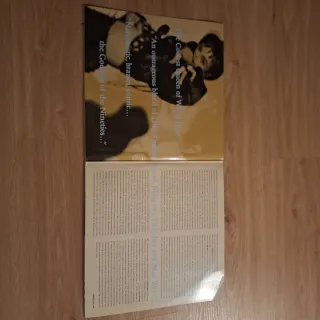 Vinilo doble Madonna - The Immaculate Collection