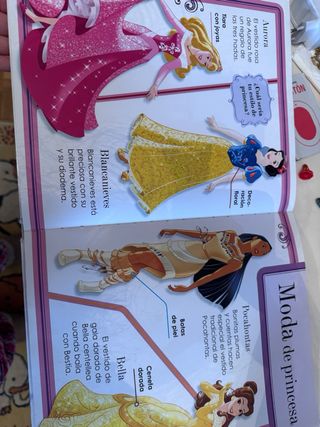 gran libro princesas Disney