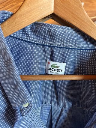 Camisa Lacoste Hombre talla grande