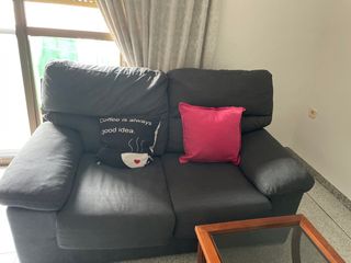 2 Sofás de 2 plazas gris