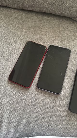 iPhone XR Rosso e iPhone 11 Viola