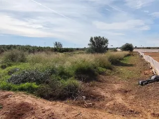 Terreno parcela rústica