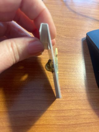 Pin Harvard Coleccionismo