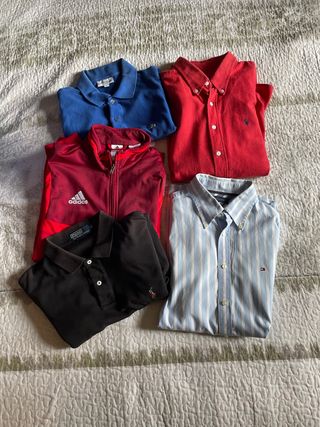 Lote 5 Prendas: Adidas, Lacoste, Polo, Tommy