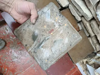 Lozas antiguas lisas