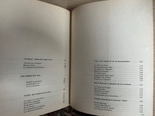 Viaje a los toros del sol. Alfonso Navalón