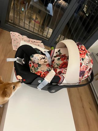 Silla coche Cybex Cloud Z i-Size Spring Blossom