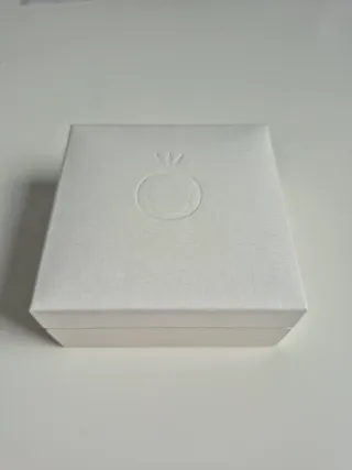 Pulsera Pandora Moments Plata con Charms