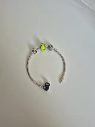 Pulsera Pandora Moments Plata con Charms