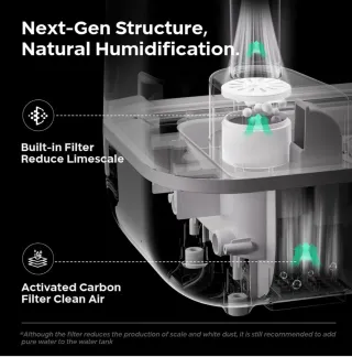 Humidificador Bear 5L