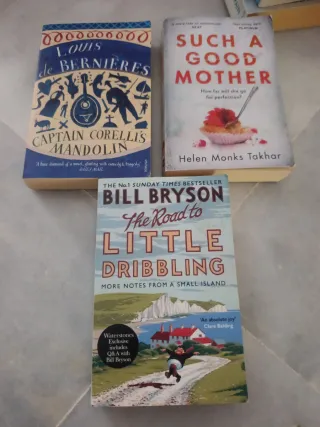 Lote libros en inglés