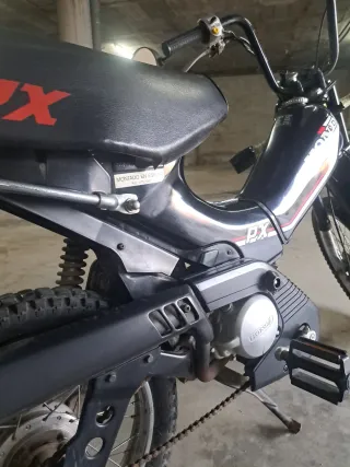Honda PX 1981